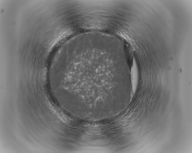 X0000087370735200705111710