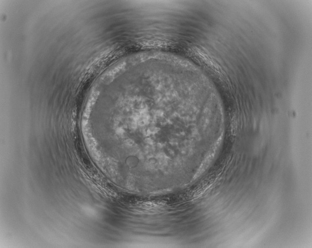 X0000087370737200705111710