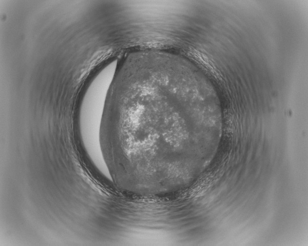 X0000087370738200705111710