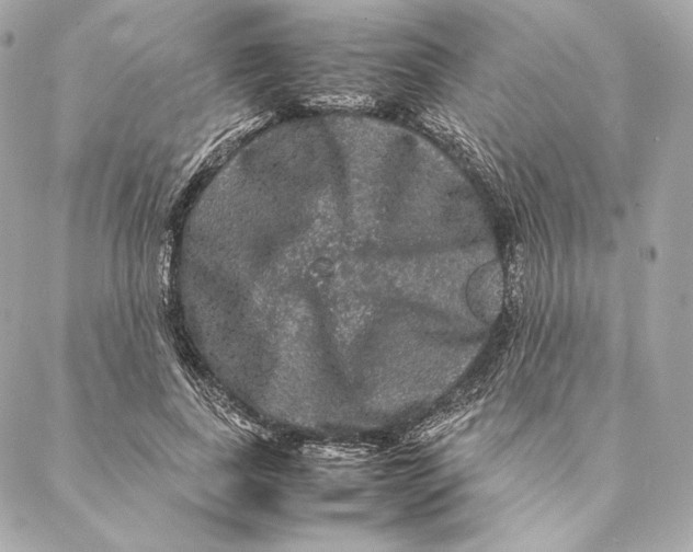 X0000087370739200705111710