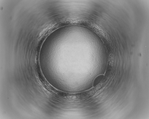 X0000087370740200705111710