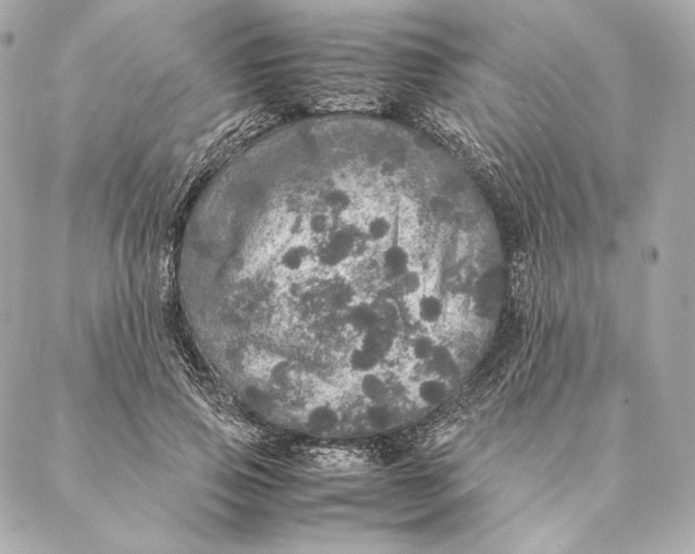 X0000087370741200705111710