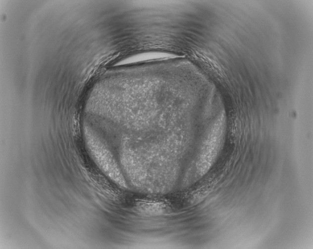 X0000087370743200705111710