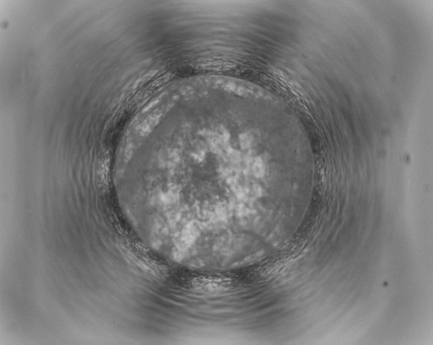 X0000087370745200705111710