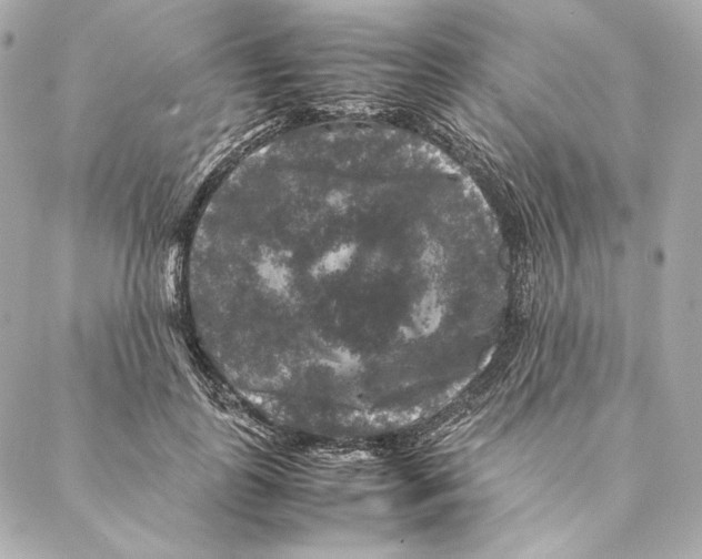 X0000087370747200705111710