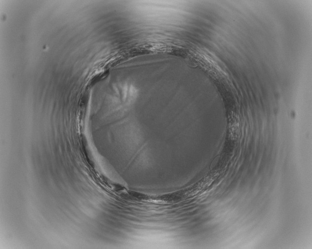 X0000087370748200705111710