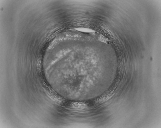 X0000087370749200705111710