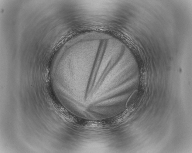 X0000087370750200705111710