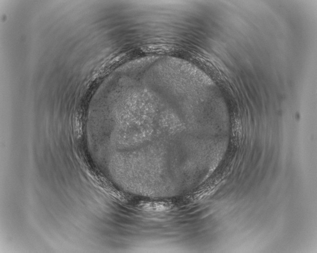 X0000087370751200705111710