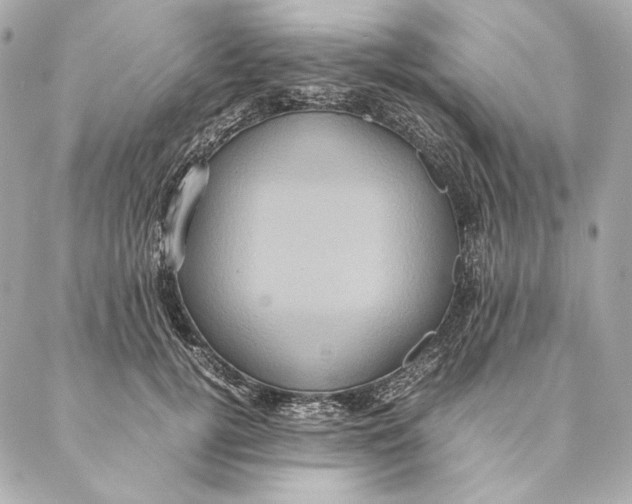 X0000087370752200705111710