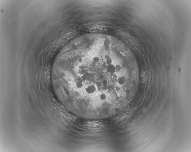 X0000087370753200705111710