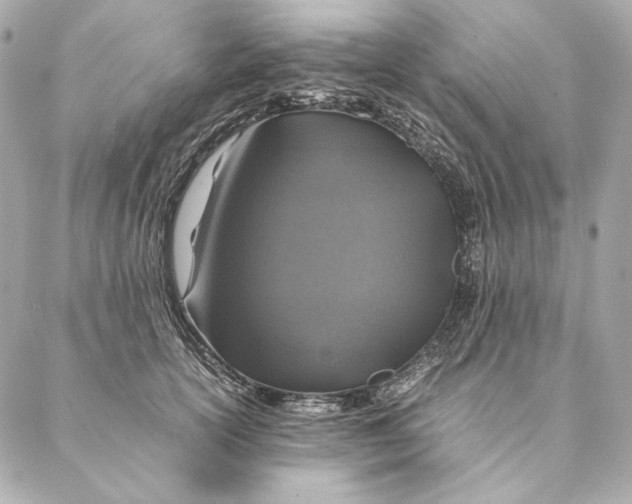 X0000087370754200705111710