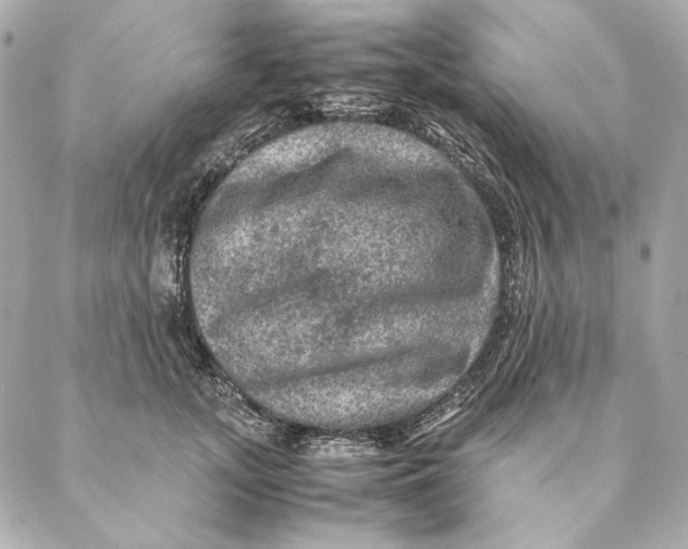 X0000087370755200705111710