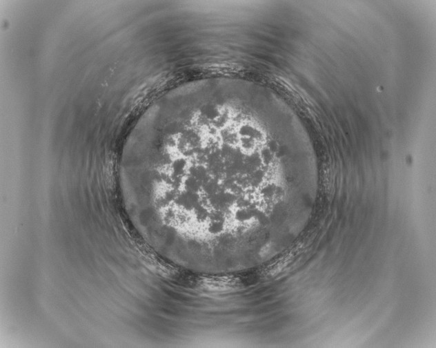 X0000087370757200705111710