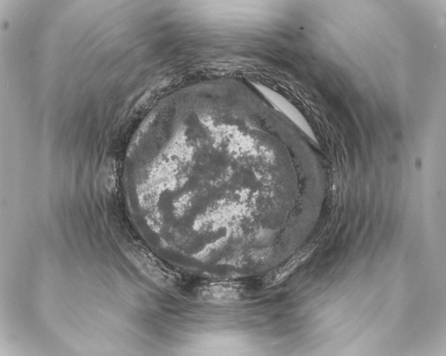 X0000087370758200705111710