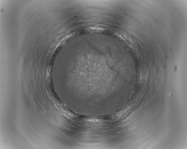 X0000087370759200705111710