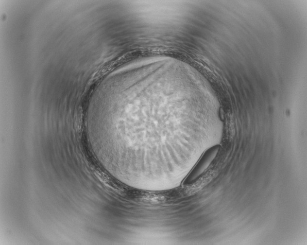 X0000087370760200705111710