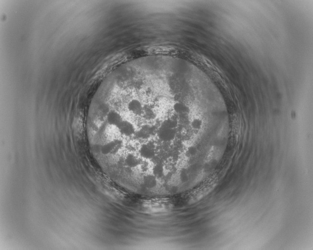 X0000087370761200705111710