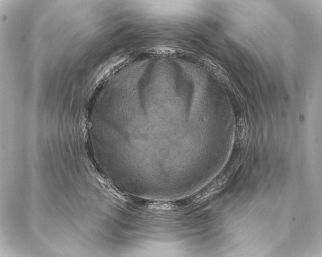 X0000087370762200705111710