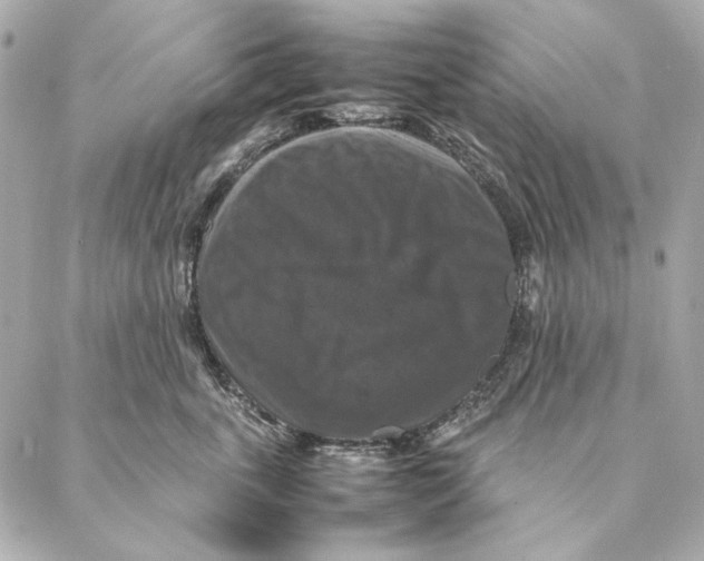 X0000087370763200705111710