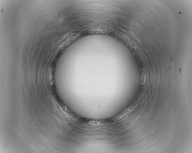 X0000087370764200705111710