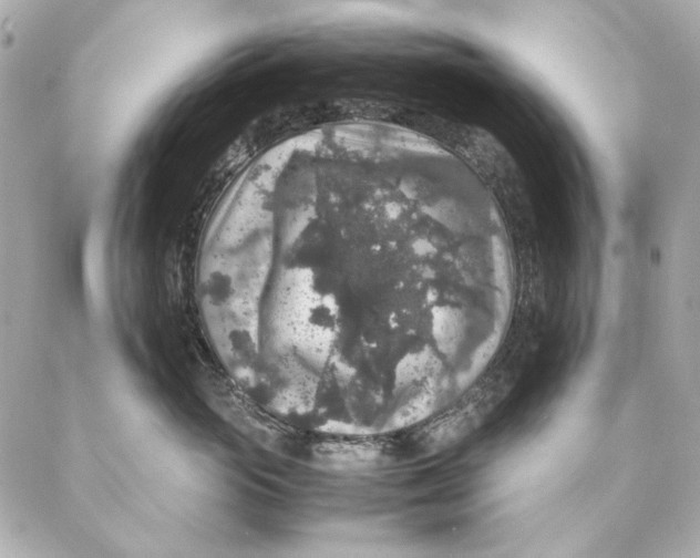 X0000087370765200705111710