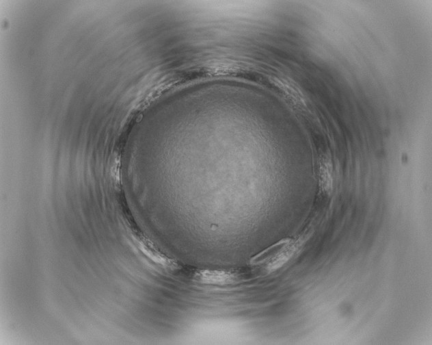 X0000087370766200705111710