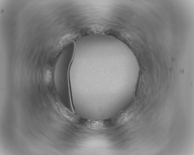 X0000087370768200705111710