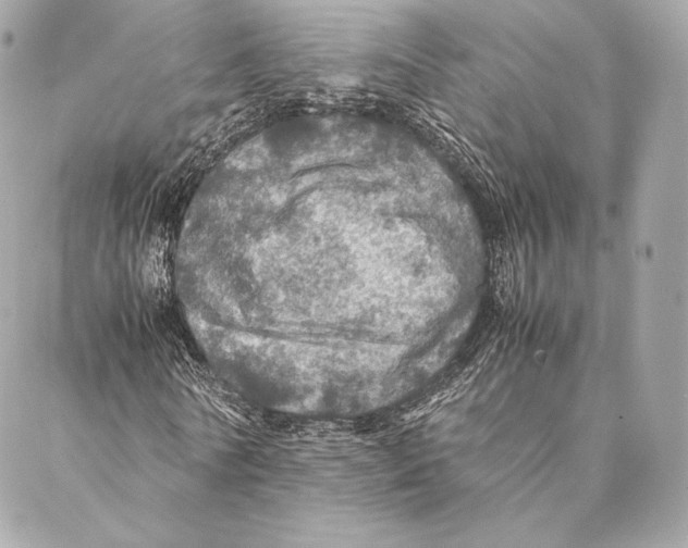 X0000087370770200705111709