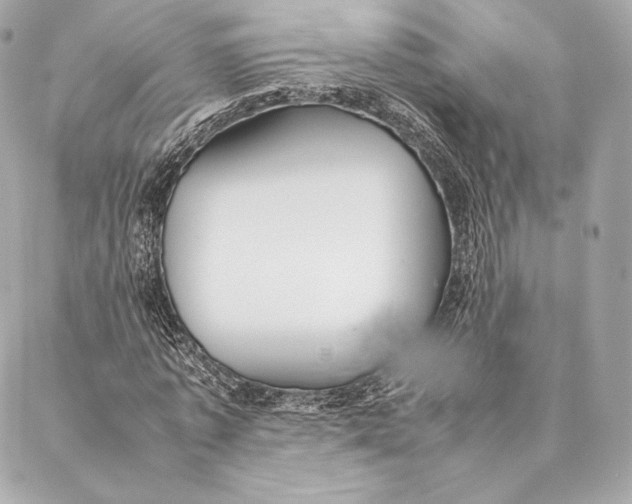 X0000087370773200705111709