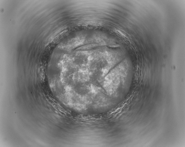 X0000087370774200705111709