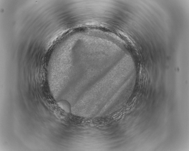 X0000087370776200705111709