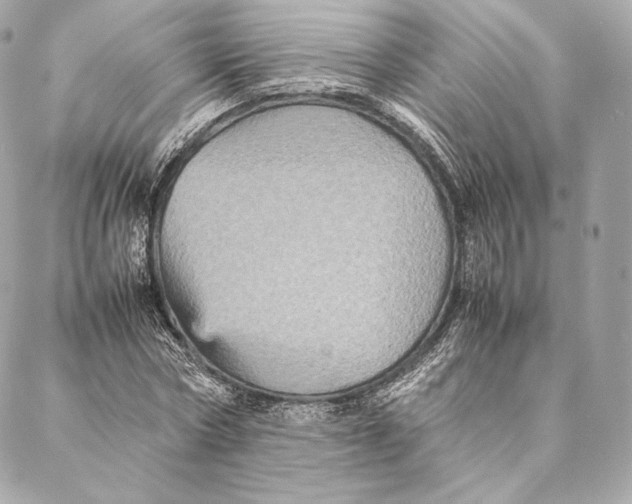 X0000087370778200705111709