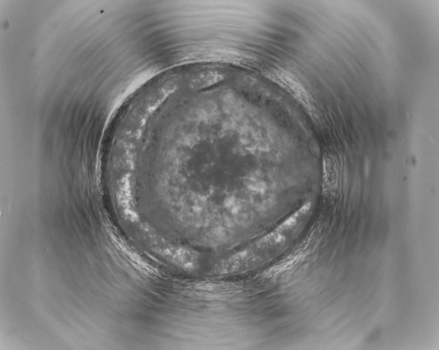 X0000087370780200705111709