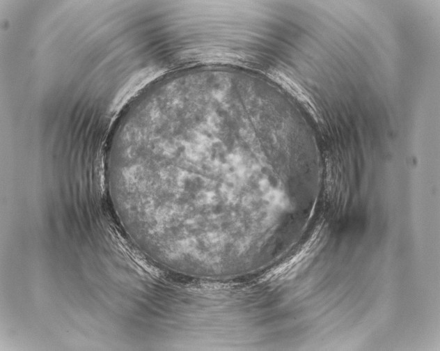 X0000087370782200705111709