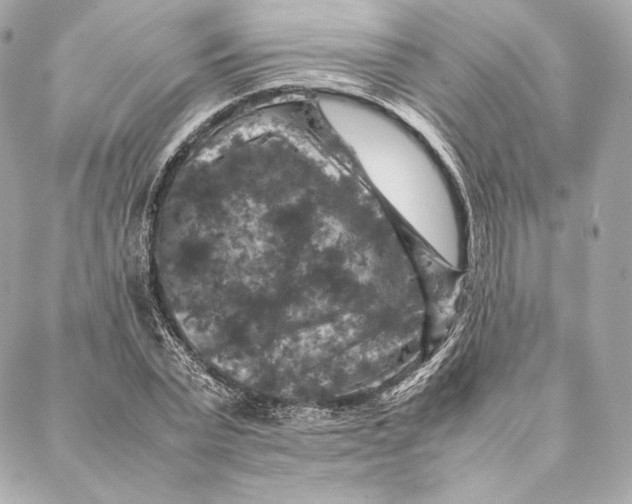 X0000087370783200705111709