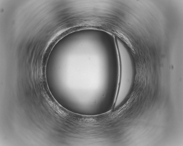 X0000087370784200705111709