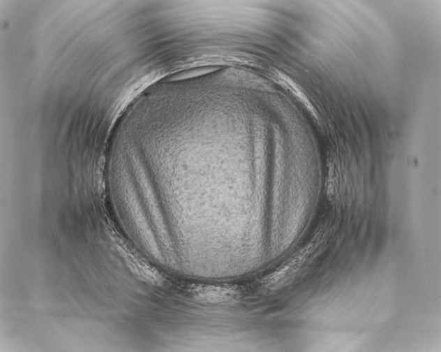 X0000087370786200705111709