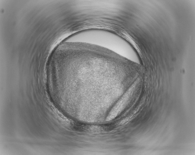 X0000087370787200705111709