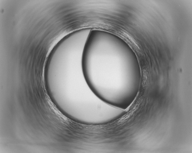 X0000087370788200705111709