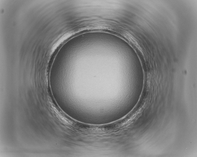 X0000087370789200705111709