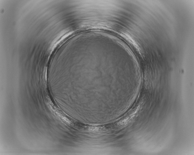 X0000087370790200705111709