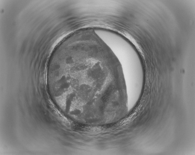 X0000087370791200705111709