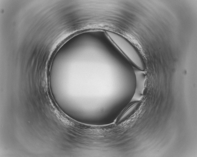 X0000087370792200705111709