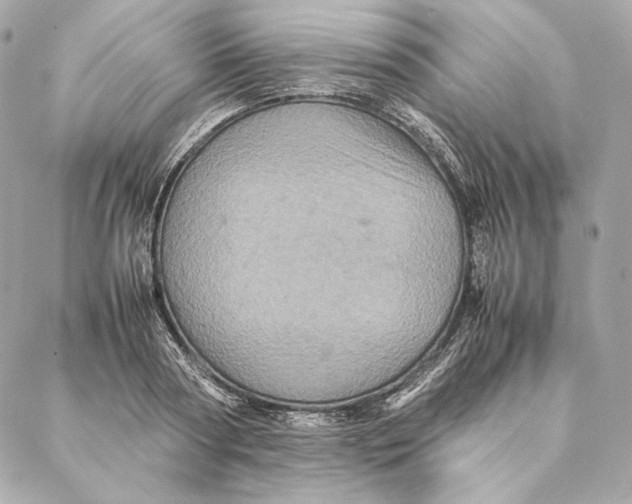 X0000087370794200705111709