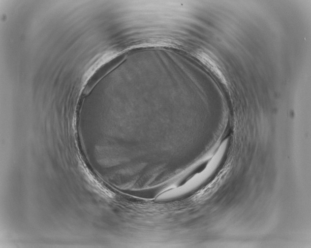 X0000087370797200705111709