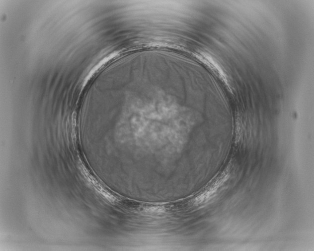 X0000087370798200705111709