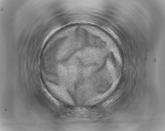 X0000087370799200705111709