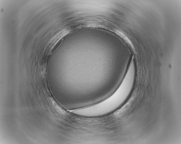 X0000087370801200705111709