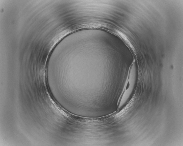 X0000087370802200705111709